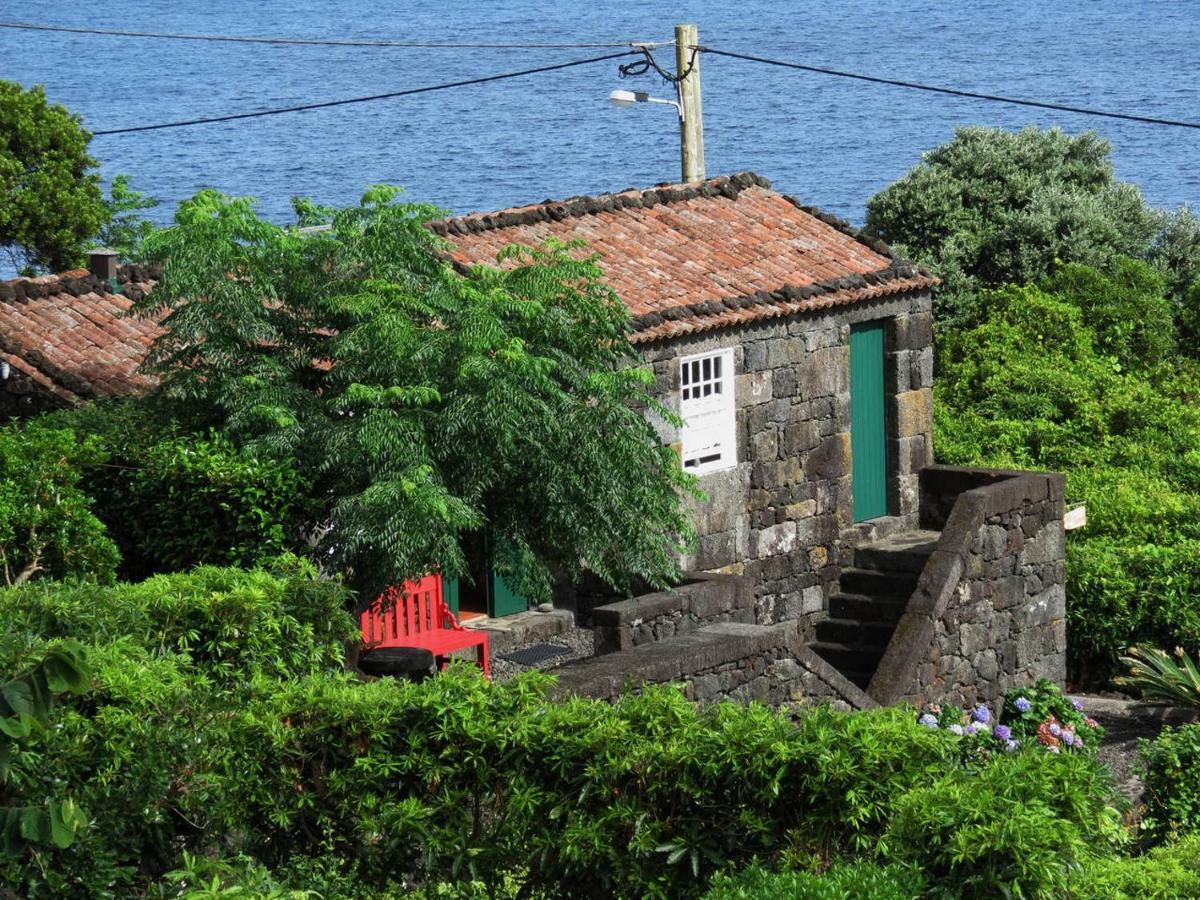 Terra Alta Casa Adega Alto Do Passinhoヴィラ エクステリア 写真